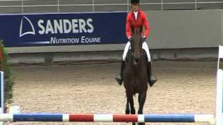 REEL STAR DES LUTHIER, Master des Etalons St Lô 2011