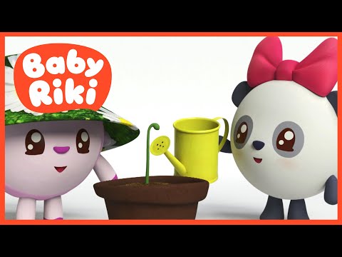Învățăm cu BabyRiki să folosim Stropitoarea | Desene animate BabyRiki