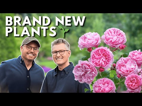 20 New Plants We’re Adding to Transform Our Garden in 2026 🌿