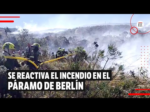 Páramo de Berlín: se reactiva el incendio en Santander | El Espectador