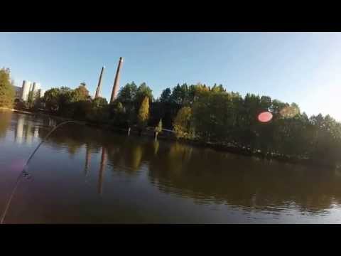 Seatrout, Kymijoki Korkeakoski 29.9.2014