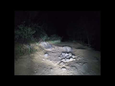 Mineral Creek (Night Run) July 2023