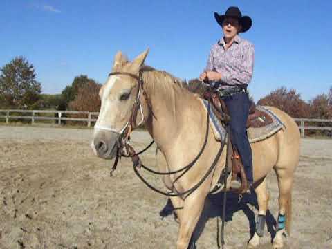 KT's Training Tips - One Rein Stops