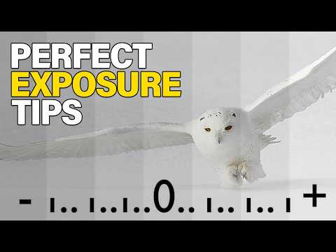 How to Master Exposure without Technical Skills!