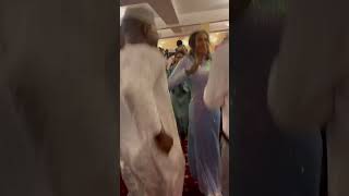 رقص زغاوة تراث زغاوة Zaghawa culture
