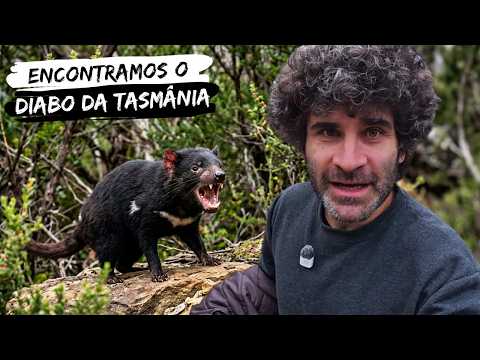 Exploramos a Tasmânia até encontrar o Taz da vida real