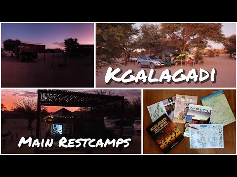 Kgalagadi main rest camps: Campsite reviews and impressions in Nossob,Twee Rivieren, Mata Mata