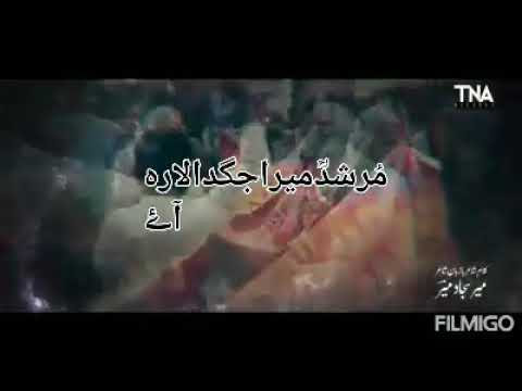 Murshade mera jag da lara ay der regra mast qalander da stutes 30k+