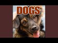 Animal, Dog - Large Dog Barking with Light Snarling Dogs, Greatest Sound Effects