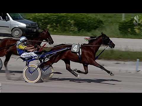 Aversa trotto 22 Maggio 2021 - 5° Corsa