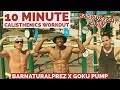 10 MINUTE FULL BODY CALISTHENIC WORKOUT FOR ALL LEVELS | HOW TO WORKOUT WHEN SHORT ON TIME