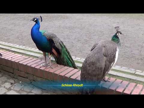 Niers Rad- und Wanderweg Süd 2018 04 10