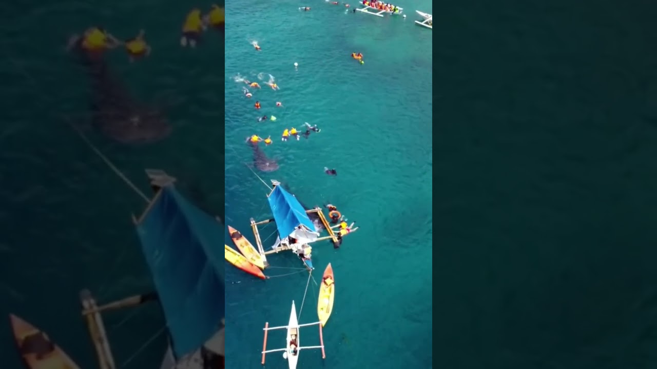 YouTube Short thumbnail