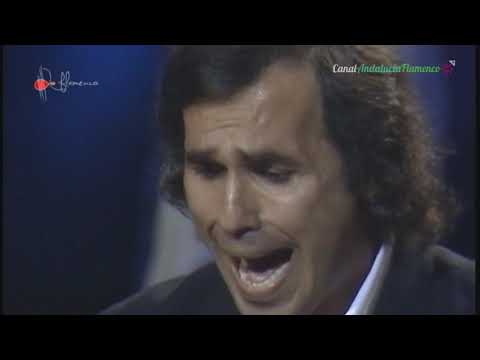 Tangos. Pepe de Lucía. 1989