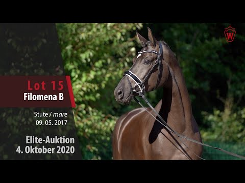 Elite-Auktion 4. Oktober 2020 Lot 15 Filomena B Stute v. Fürstenball - Vivaldi