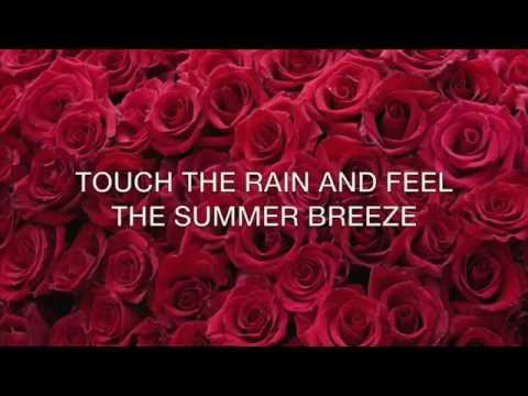 download lagu mp3 mp4 Adore Lyrics Jasmine Thompson, download mp3 Adore Lyrics Jasmine Thompson free downloadn, video klip Adore Lyrics Jasmine Thompson