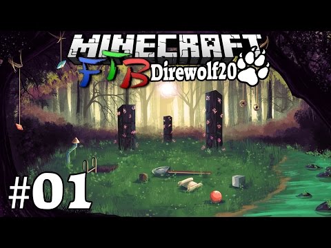 Minecraft FTB Direwolf20 [#01] - Eine Neue Welt - [HD] [Deutsch]