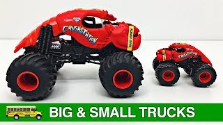Learning Big & Small Monster Trucks for Kids - #1 Hot Wheels Monster Jam Monster Trucks for Toddlers