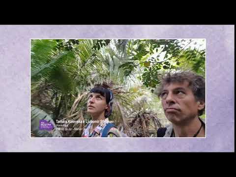 43ª Mostra - Ljubomir Stefanov e Tamara Kotevska, de Honeyland, agradecem ao Prêmio do Júri