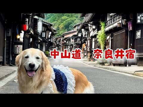 ピレネーの愛犬家の集まり - 定義