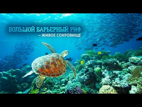 Большой Барьерный риф, Коралловые острова – 03 часть