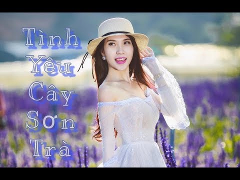 Tình yêu cây sơn trà - Đỗ Thụy Khanh