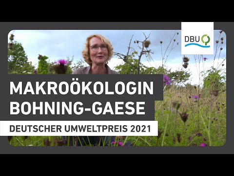 Video-Thumbnail von YouTube