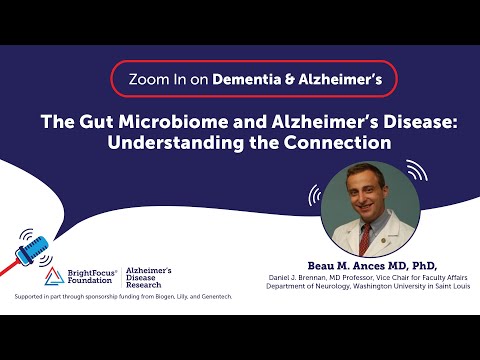 The Gut Microbiome and Alzheimer’s Disease: Understanding the Connection