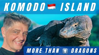 KOMODO ISLAND 2025 • should you go?  Dragons & pink sand beaches!  Know before you go!