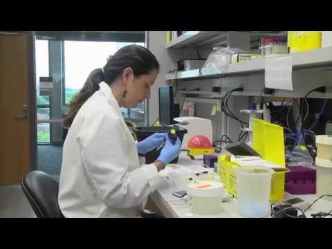 Keeping Iowans Healthy: Fighting Diabetes