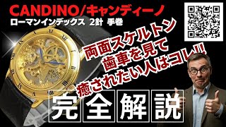 HA-2759| キャンディーノ 両面スケルトン ローマンインデックス HA-2759| キャンディーノ 両面スケルトン ローマンインデックス