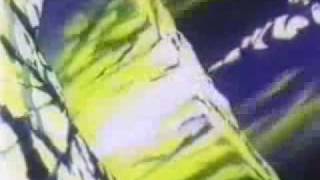 dragonball z  amv  Dragonforce evening star