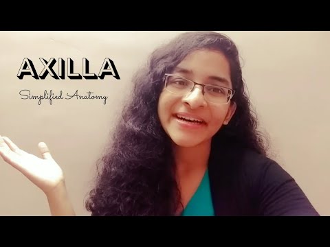AXILLA | ANATOMY | SIMPLIFIED ✔