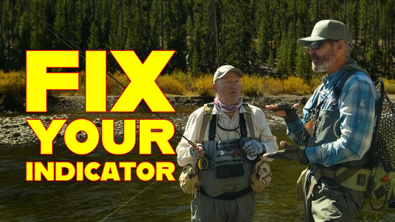 Adjusting Your Indicator for Success