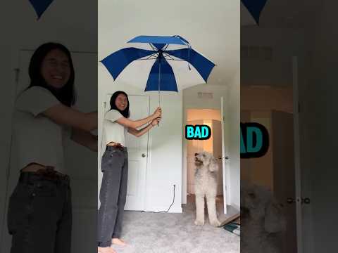 DoN'T OpEn ThAt UmBreLLa RaYchuLLah! ☂️😤