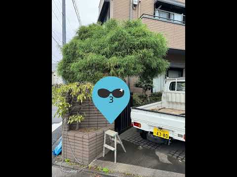 amenagement-paysagerescaliers-plantes-vertes-allée-carrelage