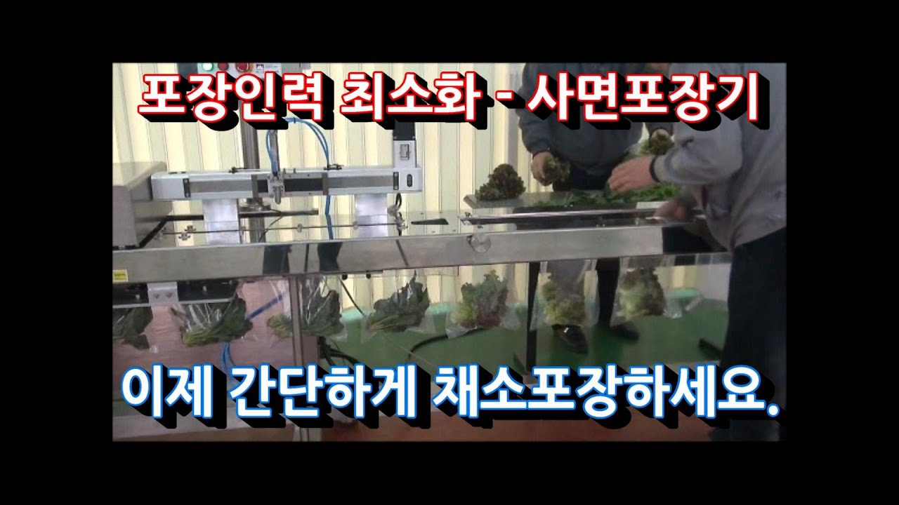 신선채소 유통사