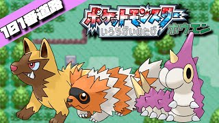 【裏作業】ルビサファ101番道路色厳選 【ポケモンルビサファ】　9000回~