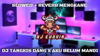 Download lagu DJ TANGKIS DANG X AKU BELUM MANDI I SLOWED   REVERB mp3