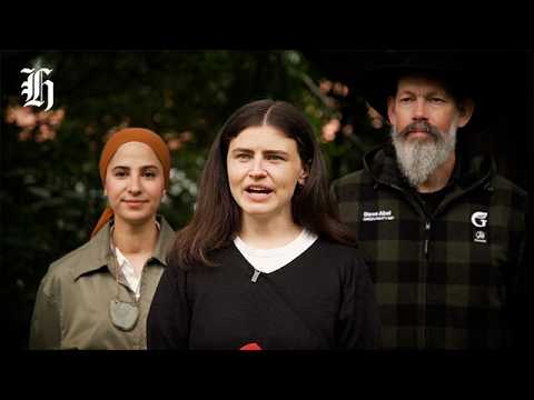 Thumbnail for Green co-leader Chlöe Swarbrick speaks to media