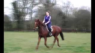 if i had changed my mind.