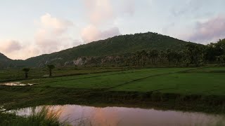 Download lagu Sada Na Bulbul Nagme Gaye | Our Travel Story mp3