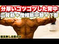 【背中トレ】広背筋、僧帽筋中部と下部を鍛えて厚みのある鬼の背中を作る!!