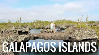 The GALAPAGOS ISLANDS On A Budget