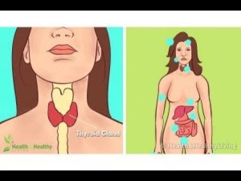 Silent Signs Your Thyroid Gland Isn’t Working Properly!