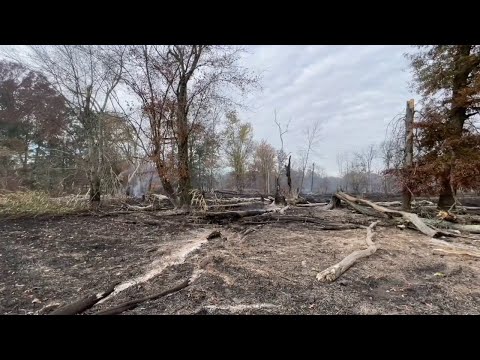 NJ Forest Fire Alert