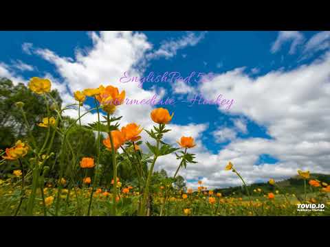 EnglishPod 55 Intermediate - Hockey