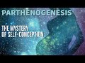 PARTHENOGENESIS The Mystery Of Self Conception