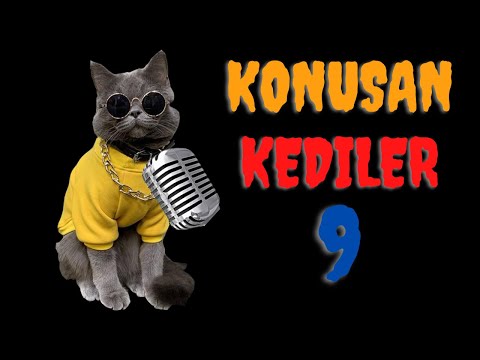 Konuşan Kediler 9 | En Komik Kedi Videoları | Dublaj Kedi