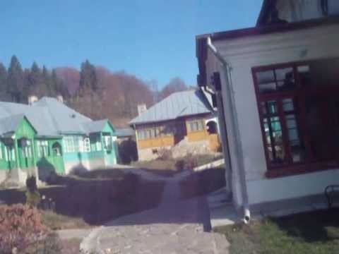 Homoraciu  noiembrie 2012 030